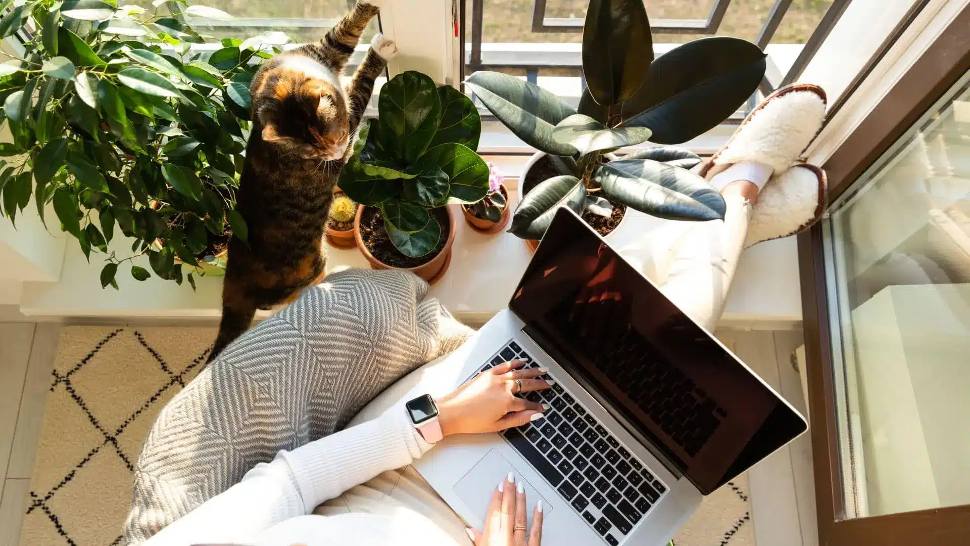 Working through a plan at home, laptop open by the window